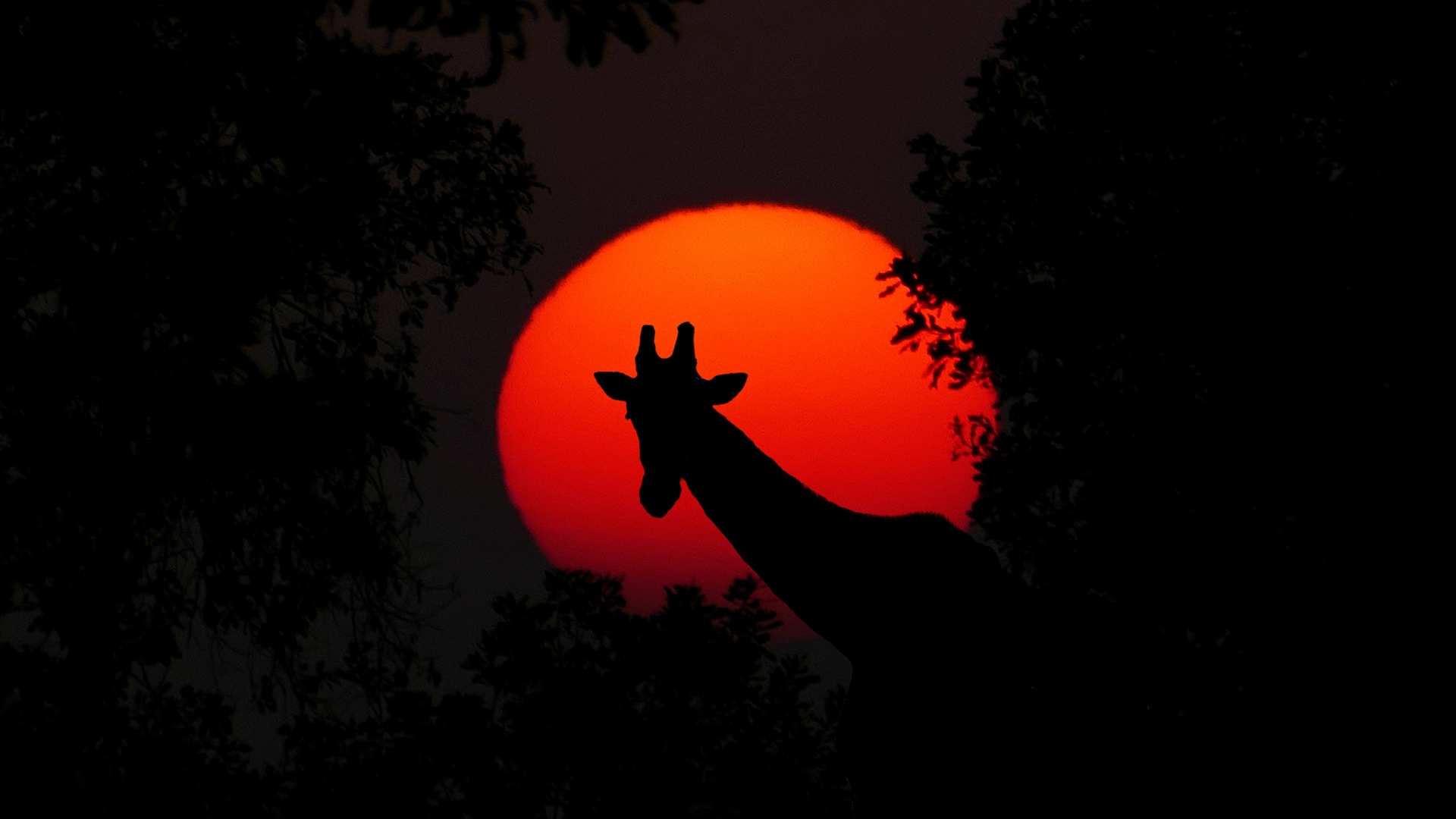 A safari camp at dusk in Kenya