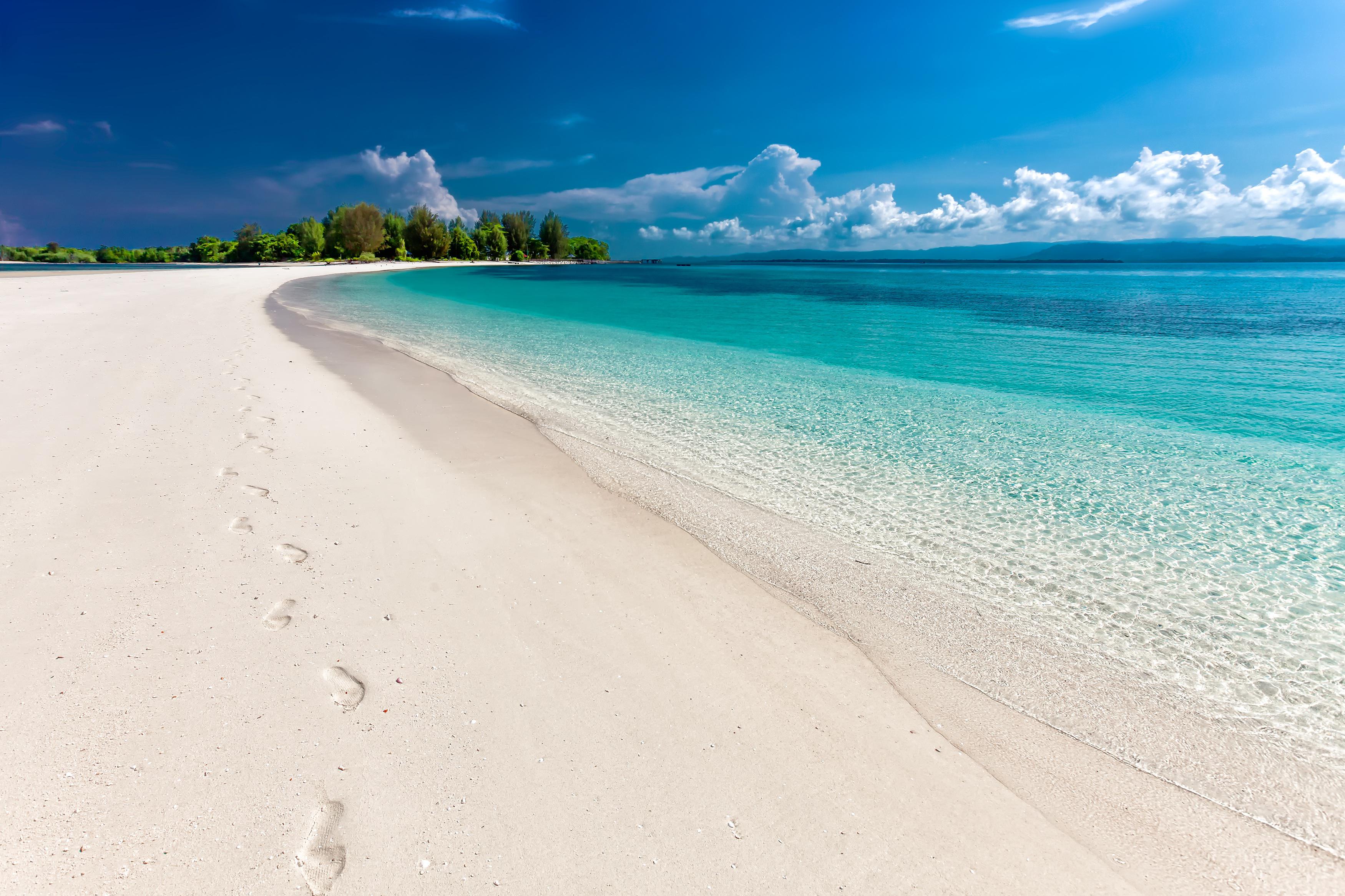 A palm-lined beach resort on the Kenyan coast