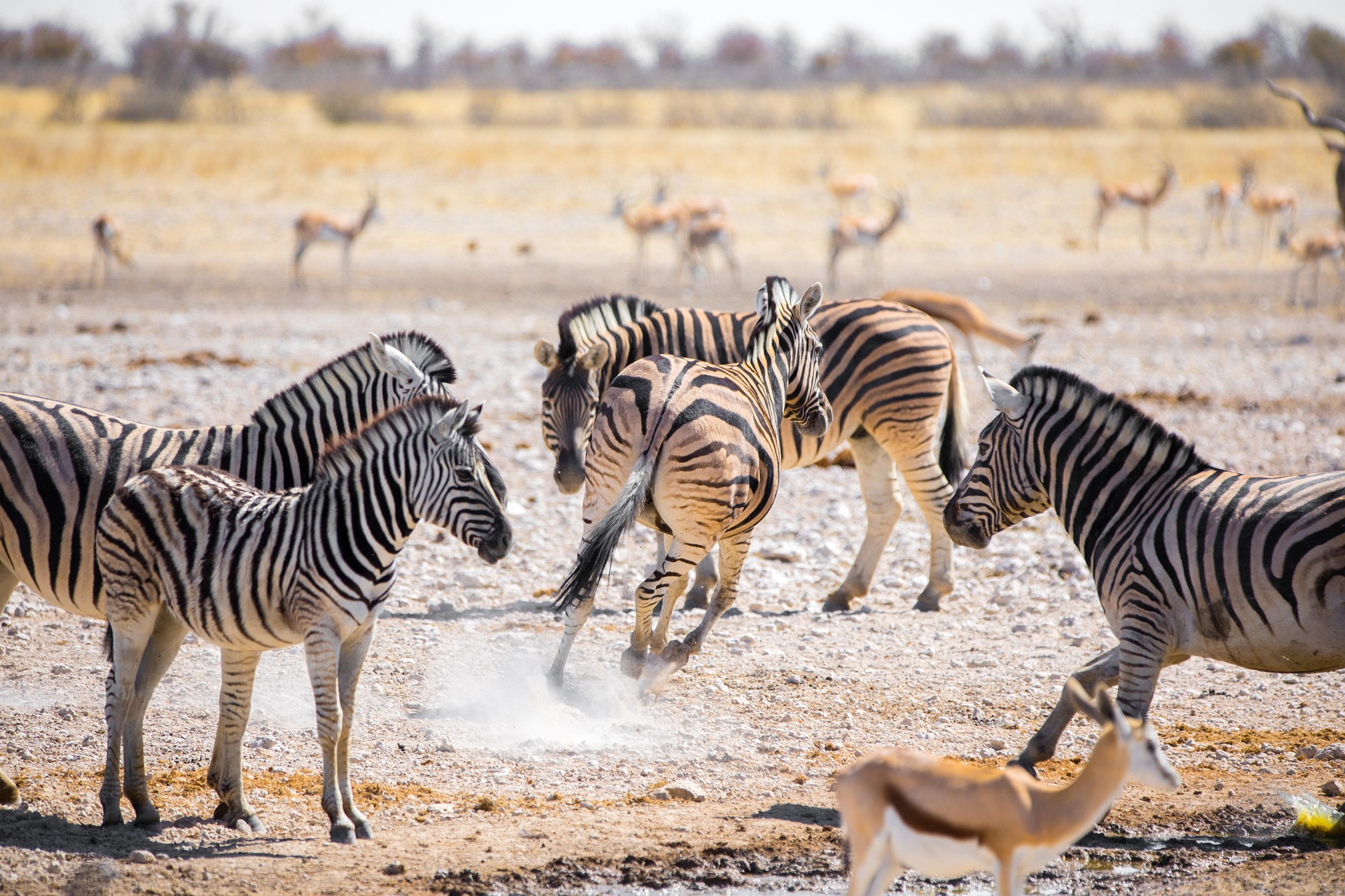A safari vehicle on the plains of Kenya